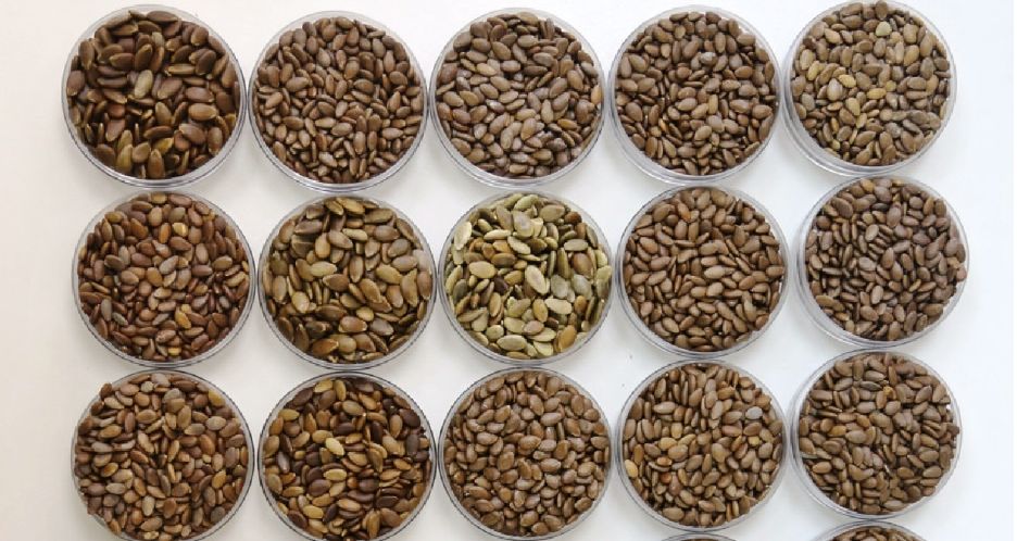 沙漠有西瓜为什么无人敢吃,沙漠里有西瓜为何没有人去吃