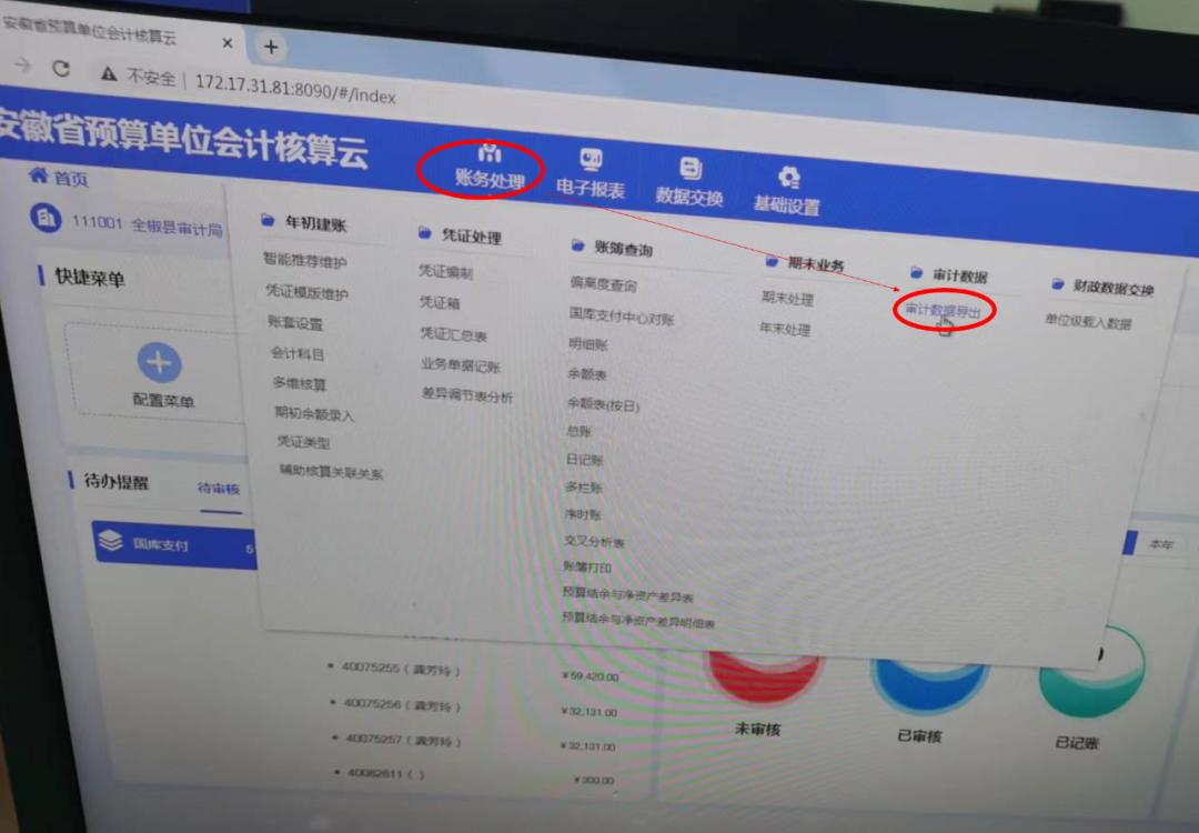 财政云会计核算系统操作,新纪元查账软件