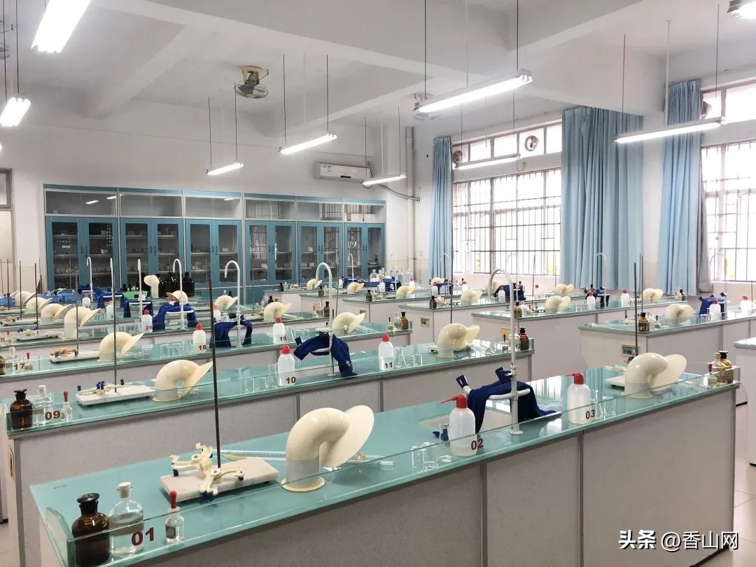 北师大珠海附中,三年青春在校园里