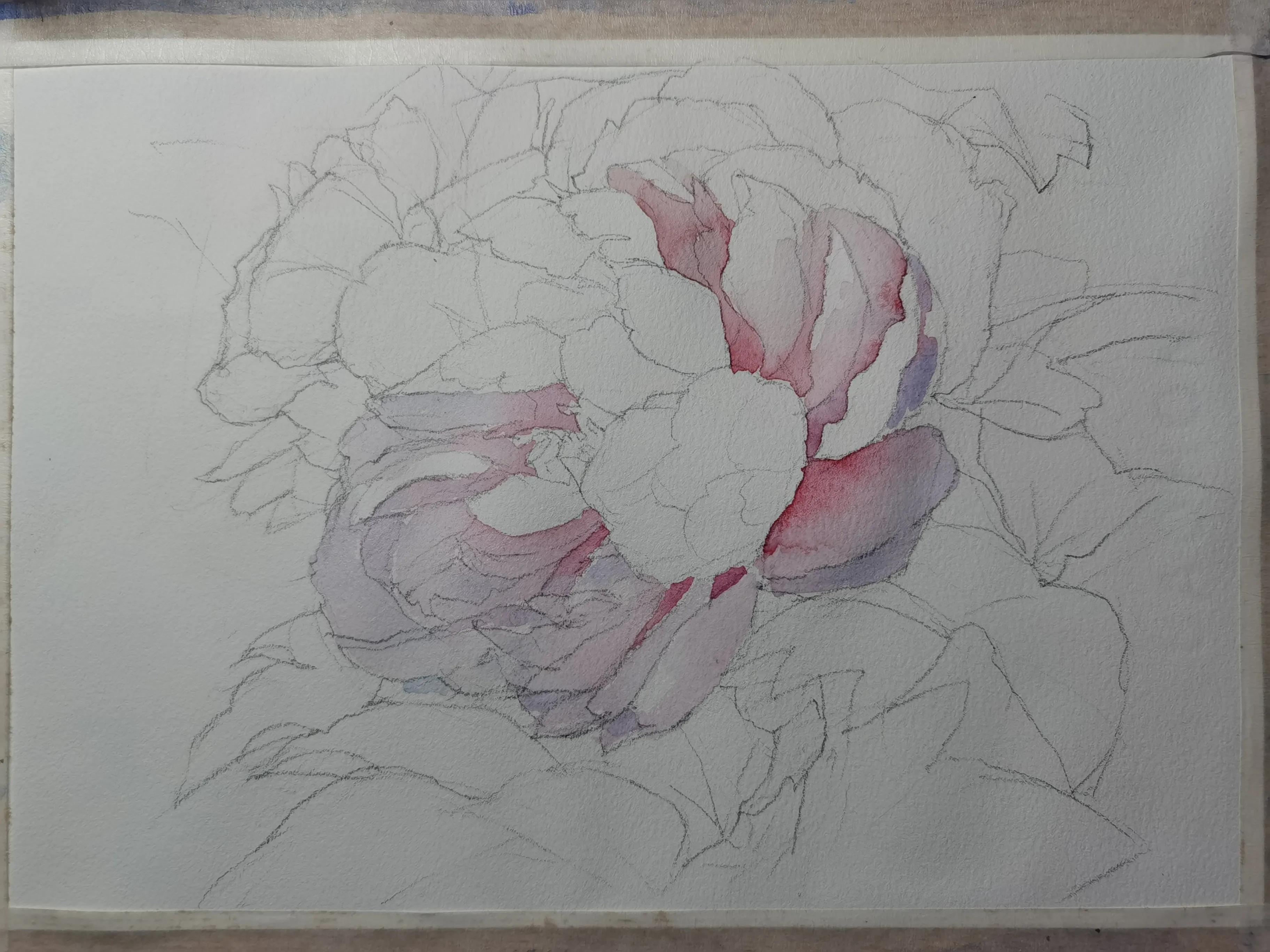 画侧面的两种方法,画准确线稿