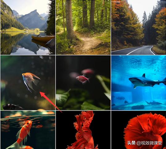 手机修图软件picsart照片编辑,修图软件推荐可裁剪