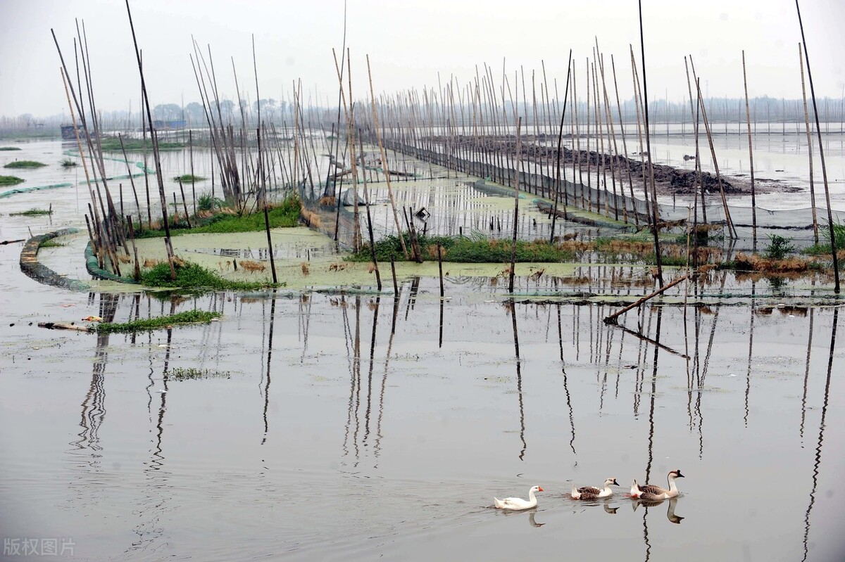 国家为什么要大力发展湖北鄂州,国家为什么要大力发展洪湖市