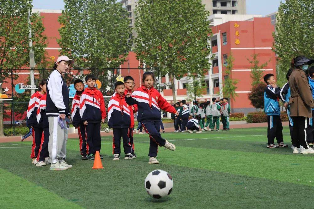 绿城足球文化节,阳光文化节篮球赛视频