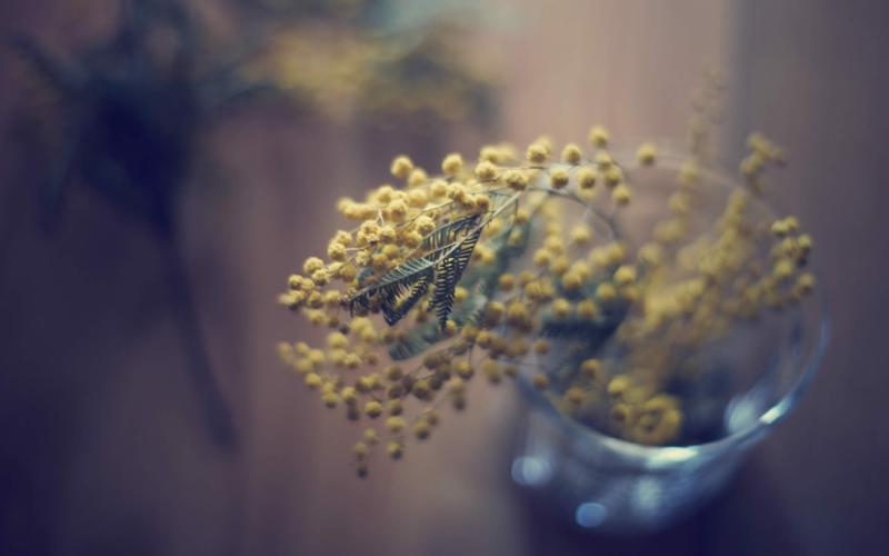 为什么有的人越活越矫情,为什么会有人觉得矫情