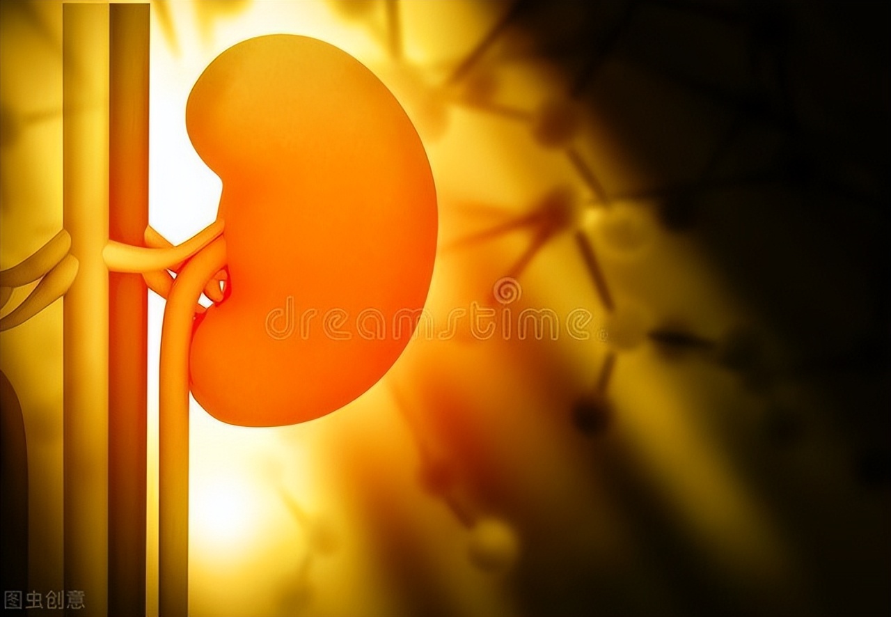 不管身体啥毛病，先给五脏六腑吃饱是第一步，不吃饱谁给你干活