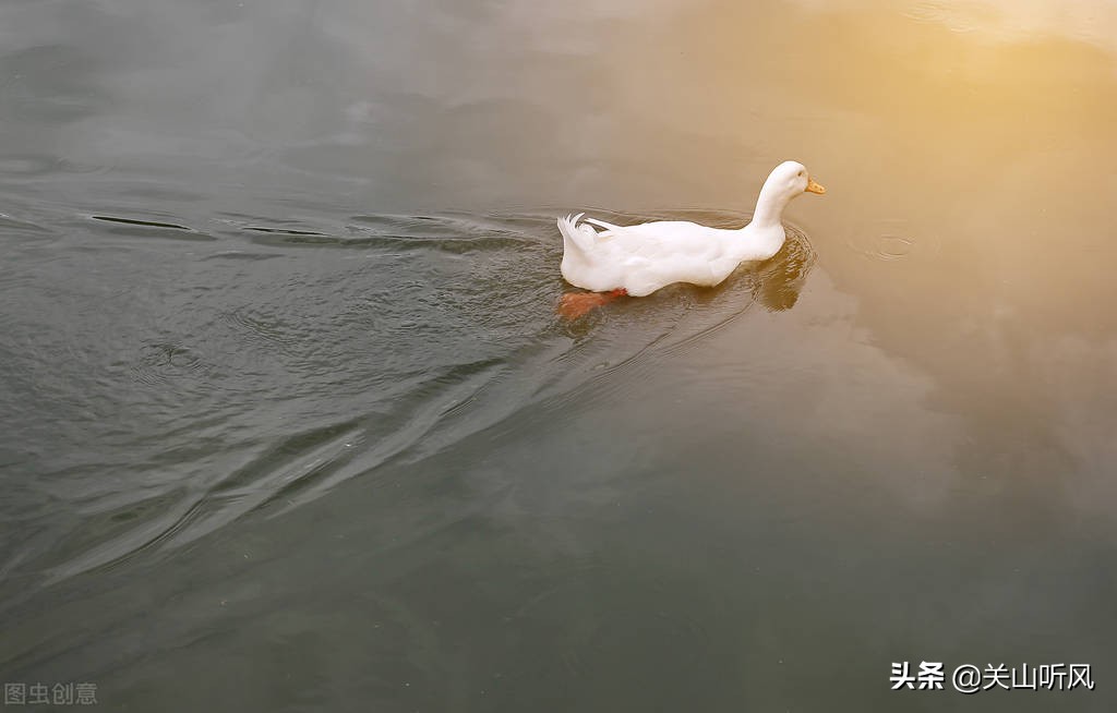 门前见方塘风水,门前见方塘好不好