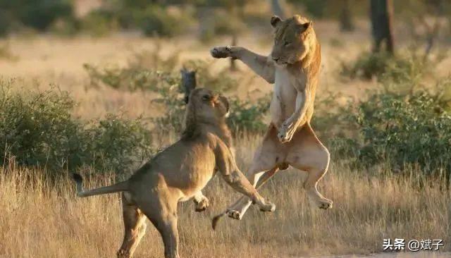 30张影像展现花楼女子媚态百出，丰乳肥臀之绝美风姿