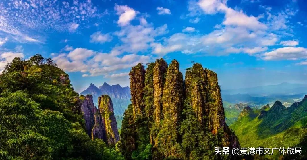 贵港一日游,贵港市区一夜游攻略