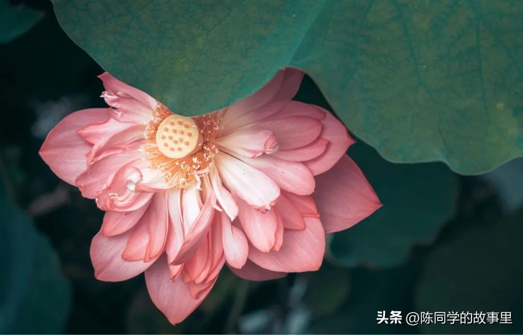 福建霞浦最美的海滩在哪里,霞浦值得去的海滩