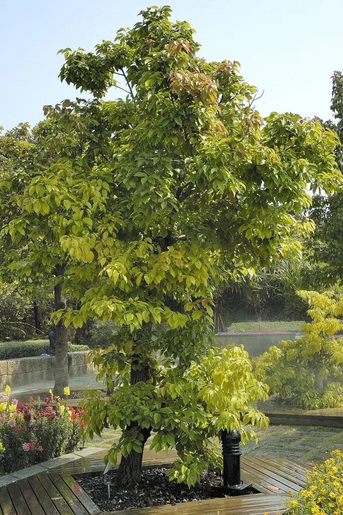 避暑胜地有山有水有树林,大别山避暑胜地有哪些