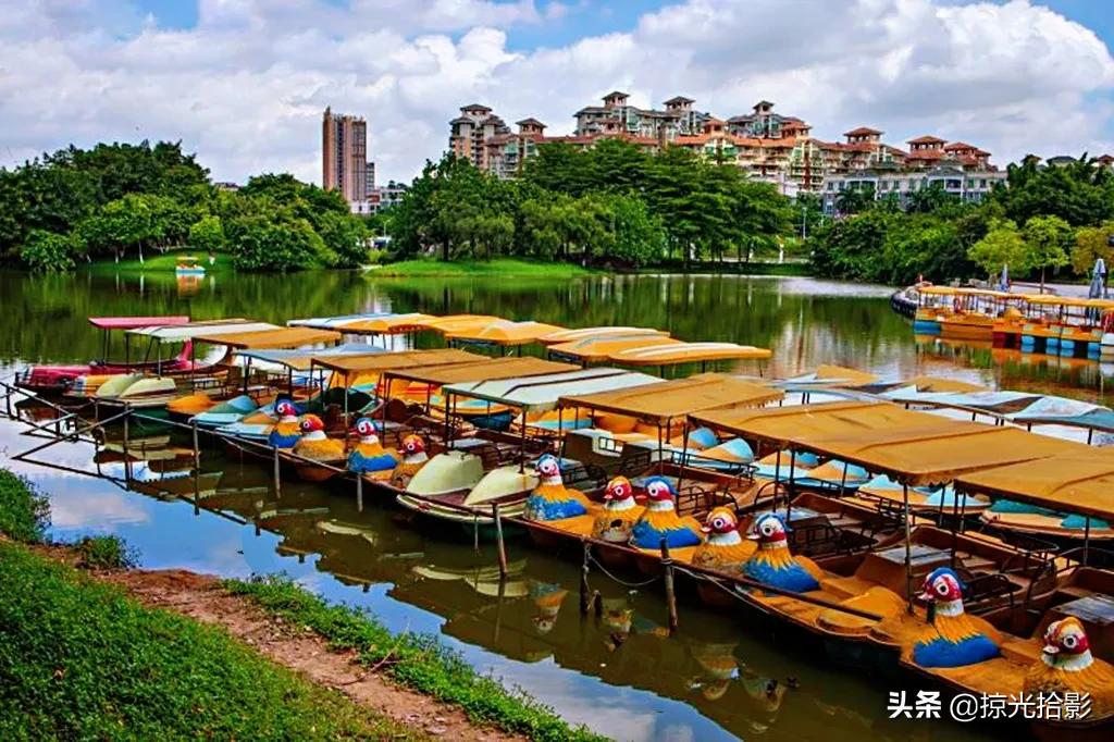 手机拍出清晰照片的20个技巧,手机小技巧怎么样拍出好照片