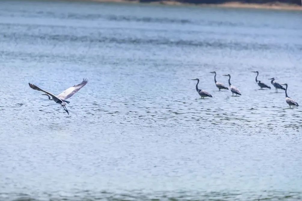 泸州一天的游玩攻略,泸州假期去哪里玩