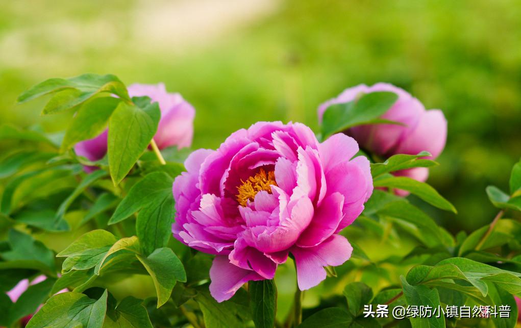 二十四节气之谷雨歌曲,二十四节气之谷雨儿歌歌词