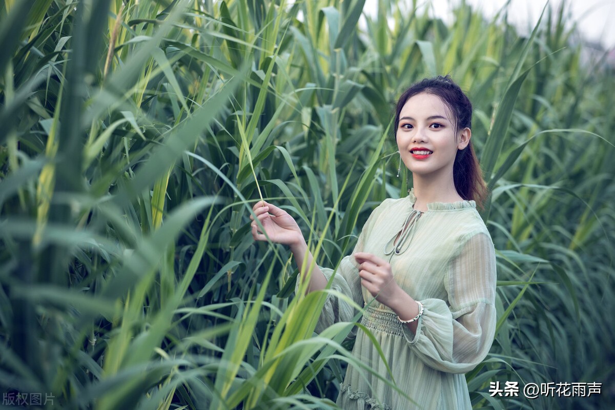 两个人之间为什么会有好感和暧昧,彼此之间有好感但是没明确关系