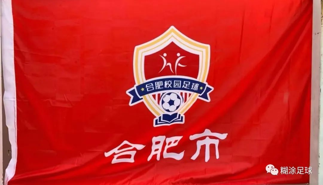 u16全国青少年足球联赛安徽赛区,合肥市u12青少年足球联赛