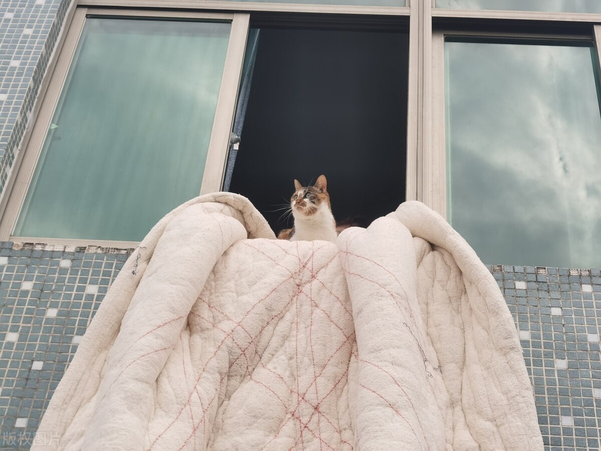 被子怎么会有静电现象呢,壹邦主要治疗什么