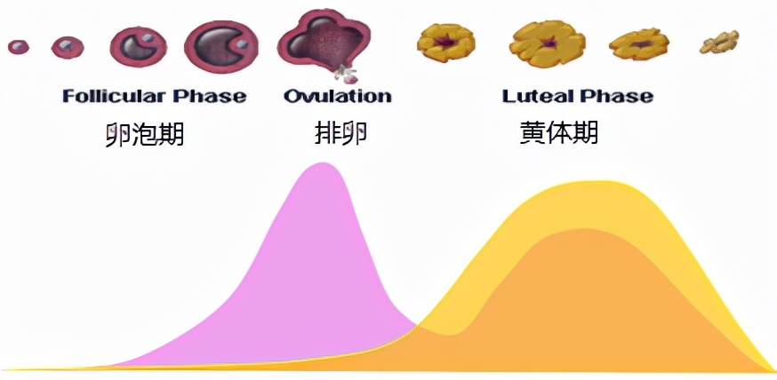 怕她不来又怕她乱来的文案,怕她不来又怕她乱来出处