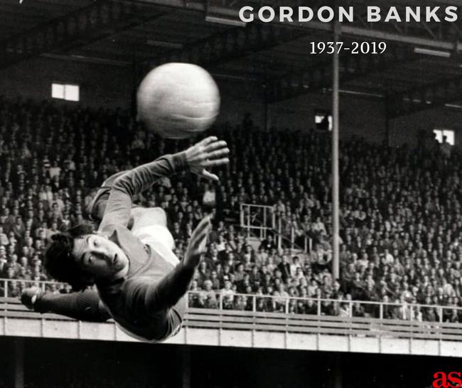 球王贝利真实历史,黑珍珠贝利