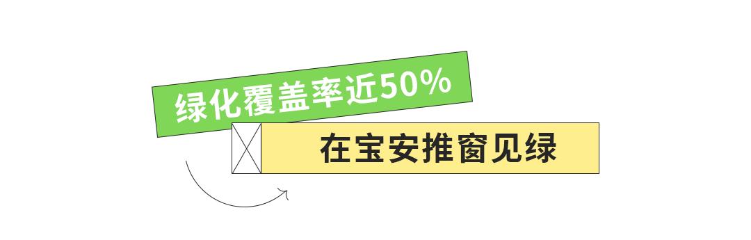 我为什么建议你来北上广深奋斗,我为什么建议你留在一线城市