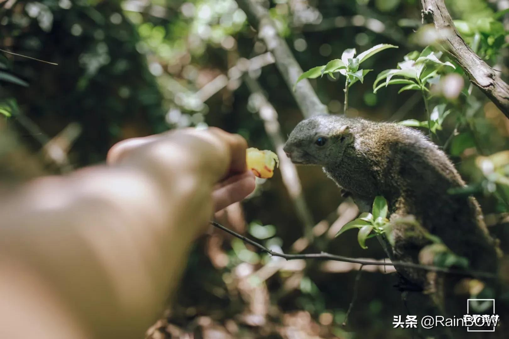 大自然中的小生命,大自然新生命的诞生