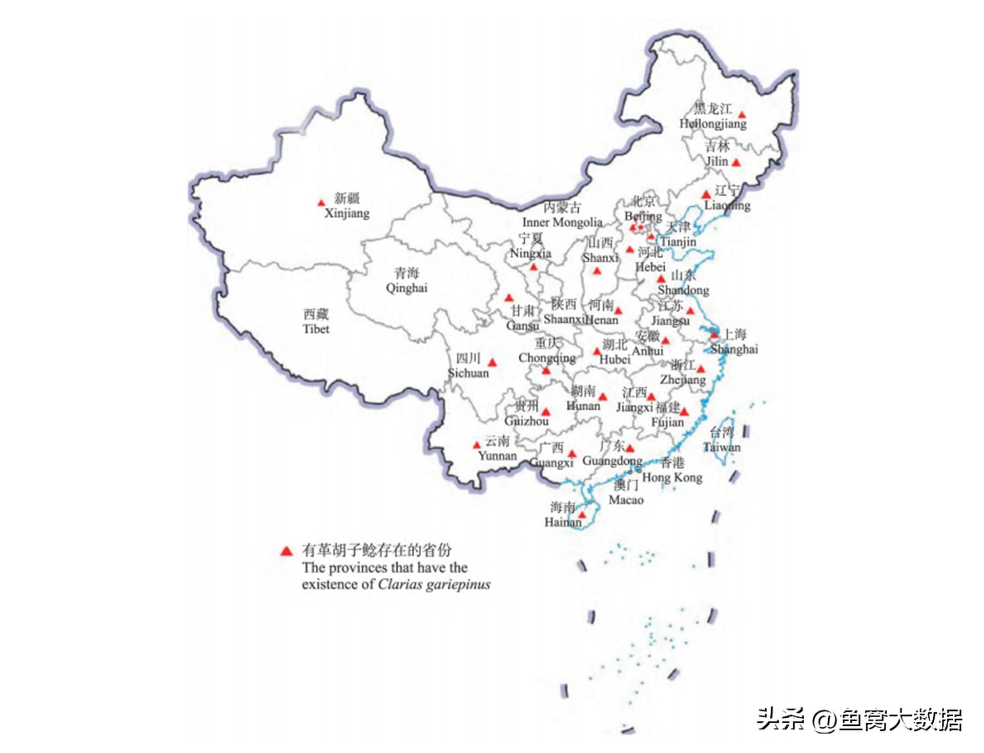 革胡子鲶销声匿迹,革胡子鲶性成熟几年