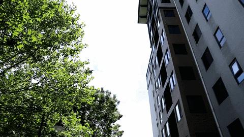 篮球场噪音扰民邻长齐出动,篮球场扰民应该在哪投诉