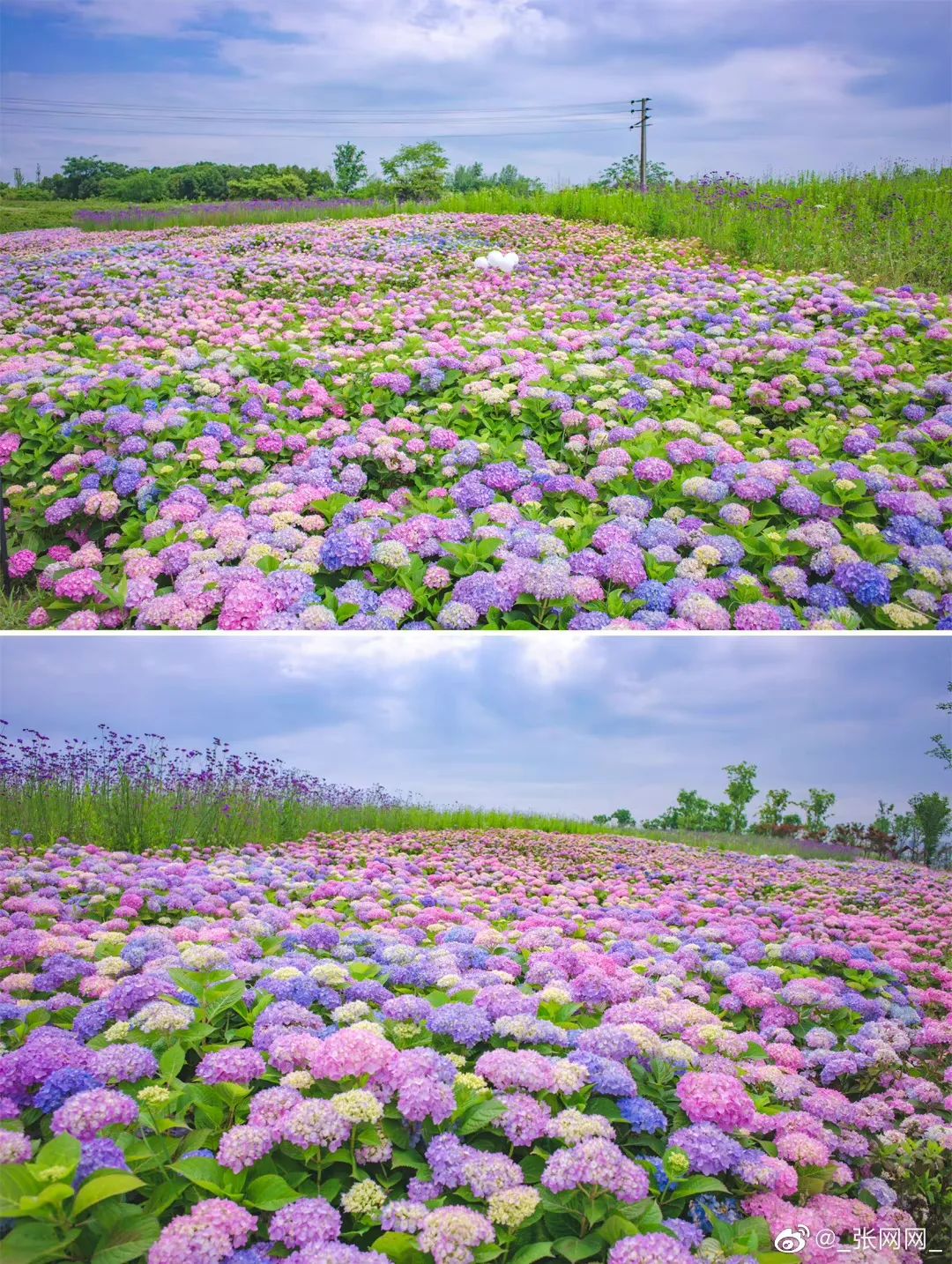 成都有哪些好玩的网红打卡地,成都网红打卡地最新旅游景点