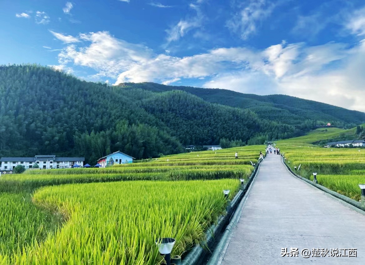江西有哪些梯田风景区,江西梯田排名前十的梯田