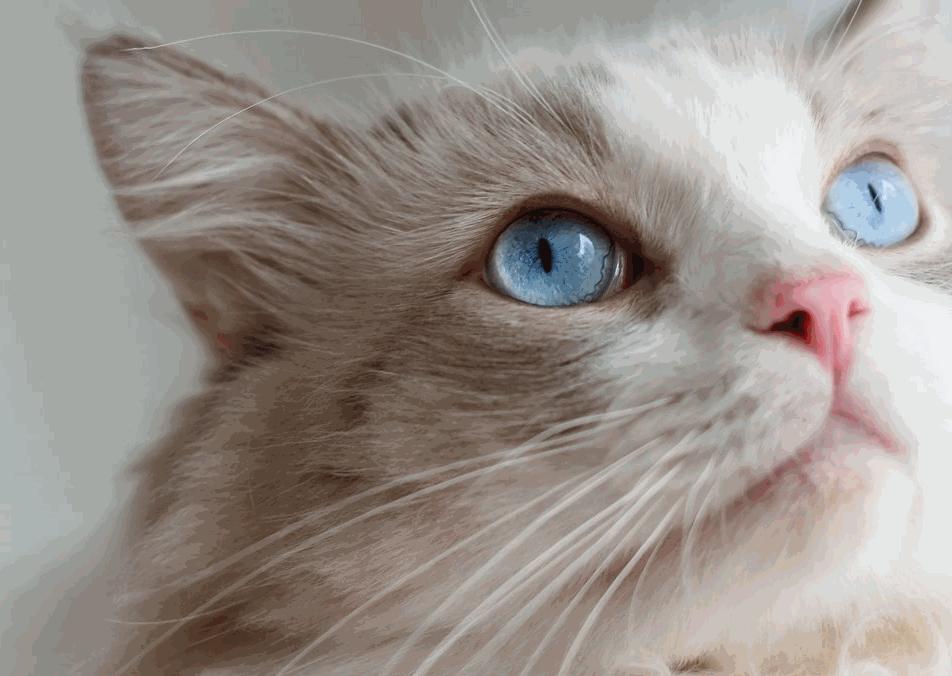 电脑c盘爆满怎样清理简单操作,系统c盘满了怎么清理c盘空间