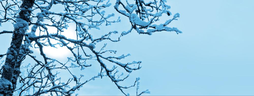 明月如霜好风如水清景无限赏析,明月如霜好风如水清景无限出处