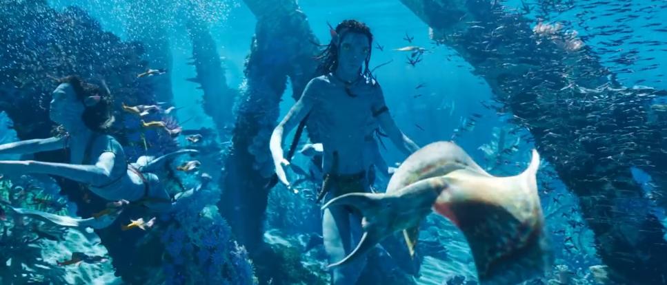 阿凡达2讽刺日本捕鲸船照片,阿凡达2讽刺日本捕鲸镜头