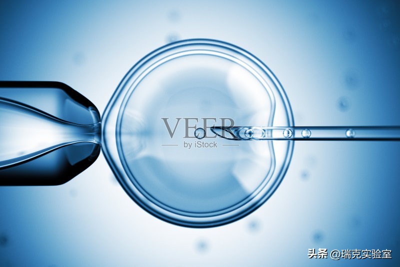 日本最强“配种王”一年捐精百次：日本为了“小蝌蚪”有多疯狂？