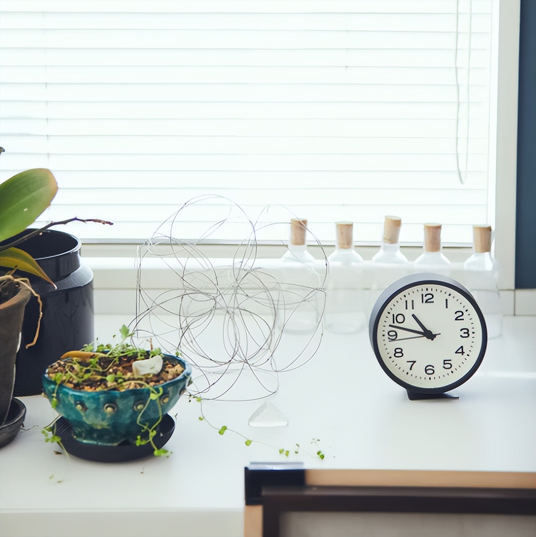 日本主妇晒减法生活：学会精简，日子也能过得精致浪漫