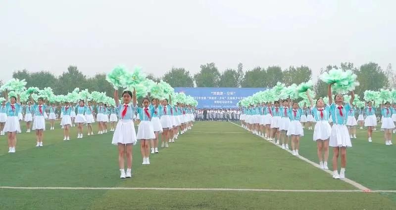 驻马店足球市长杯小学组,驻马店市第六届足球赛