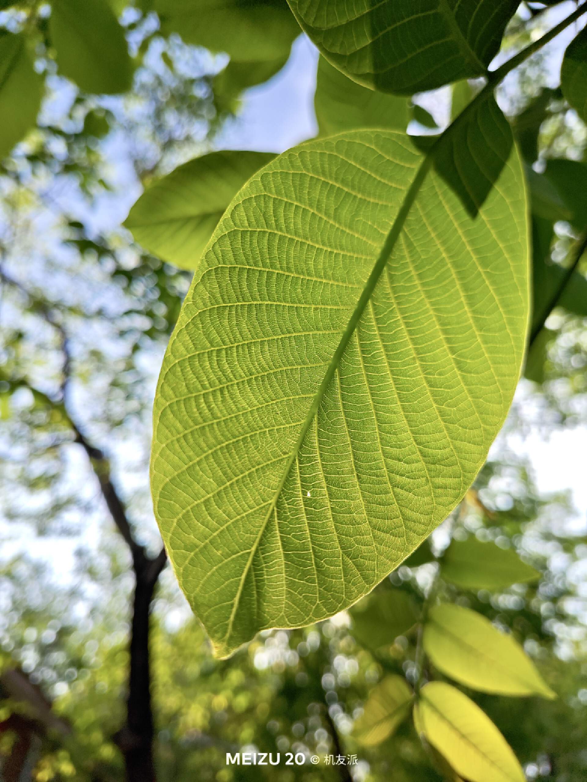 魅族20infinity无界版ppi,说说你们用魅族20手机的真实感受