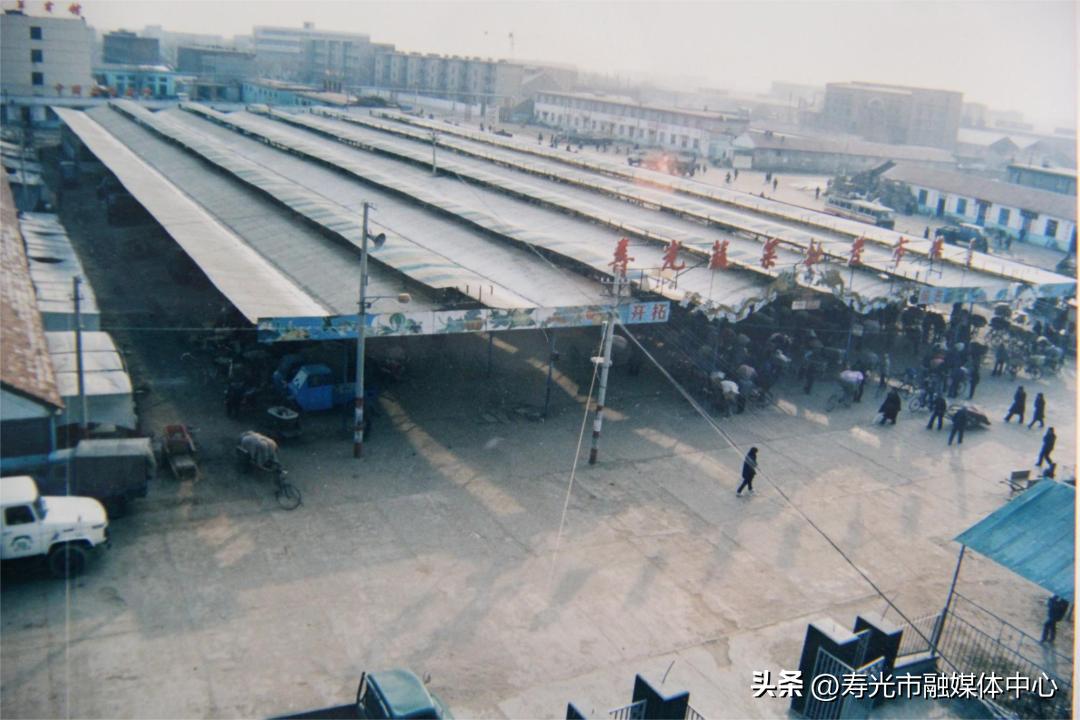 寿光大棚致富项目,寿光新农业项目