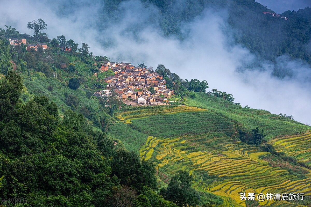 云南冬季最暖和的小城,云南昆明适合北方人过冬吗