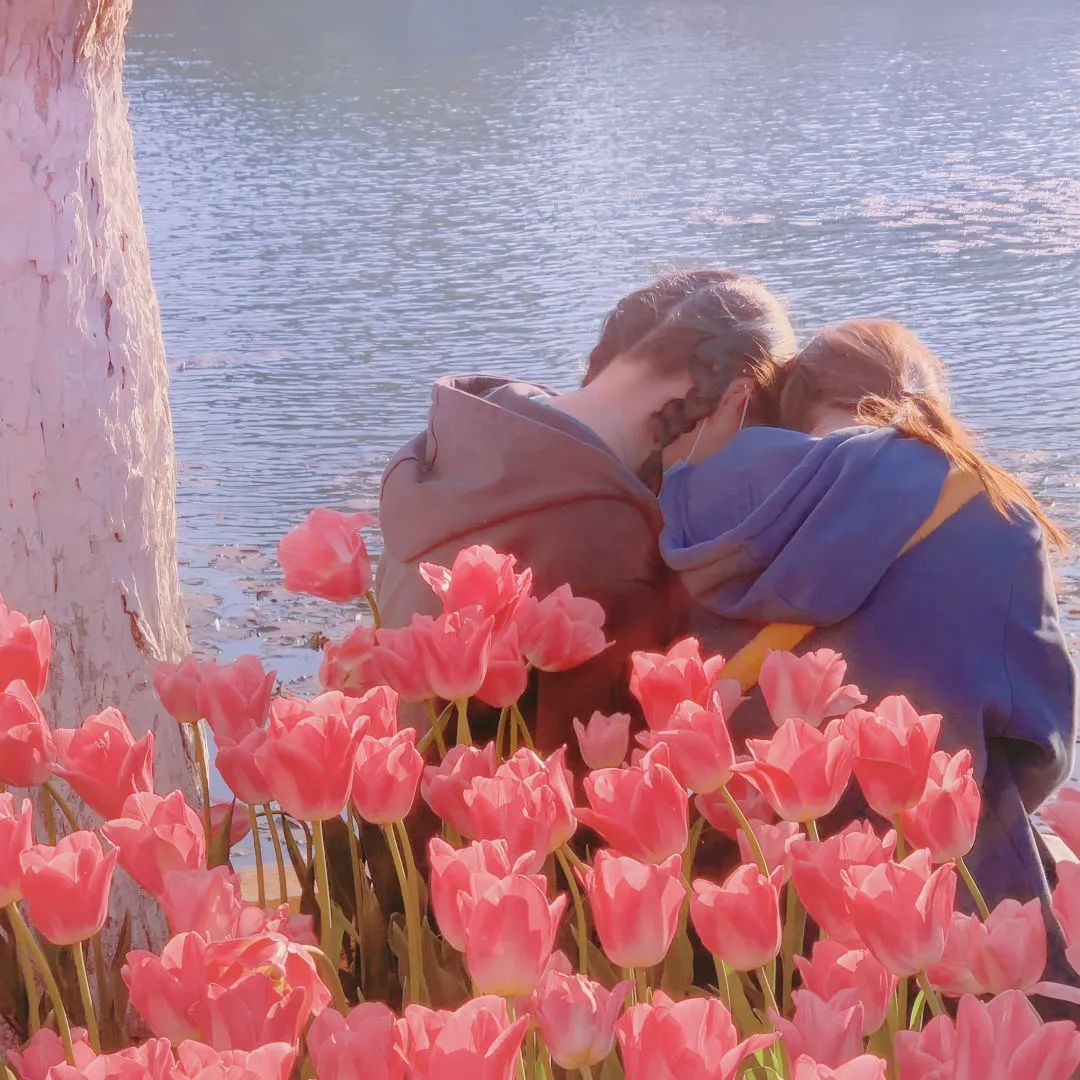 背景图ins风鲜花,ins复古黑色鲜花壁纸