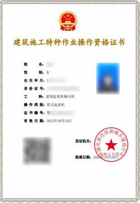 工地建筑用的升降机,施工升降机可以用塔吊安装吗