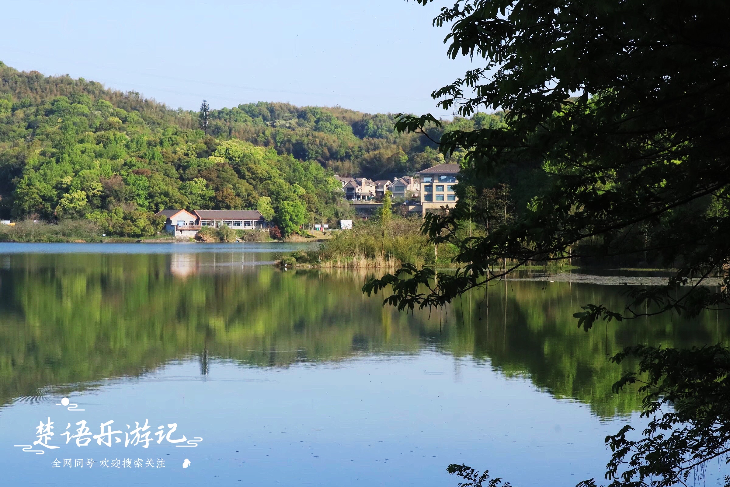 宁波这个网红景点不仅有花海，原来还是露营胜地，湖光山色美如画