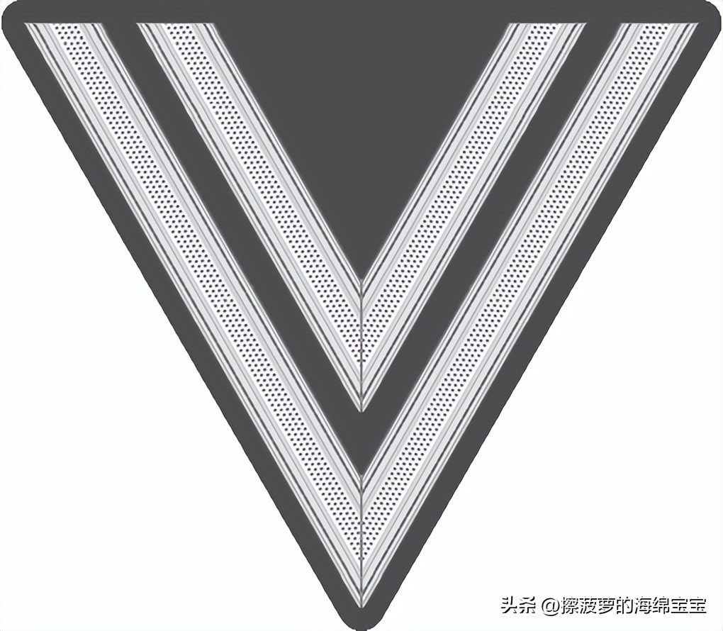 二战德国国防军医疗兵军衔标志