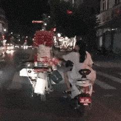 妹子穿皮裤,女生的皮裤