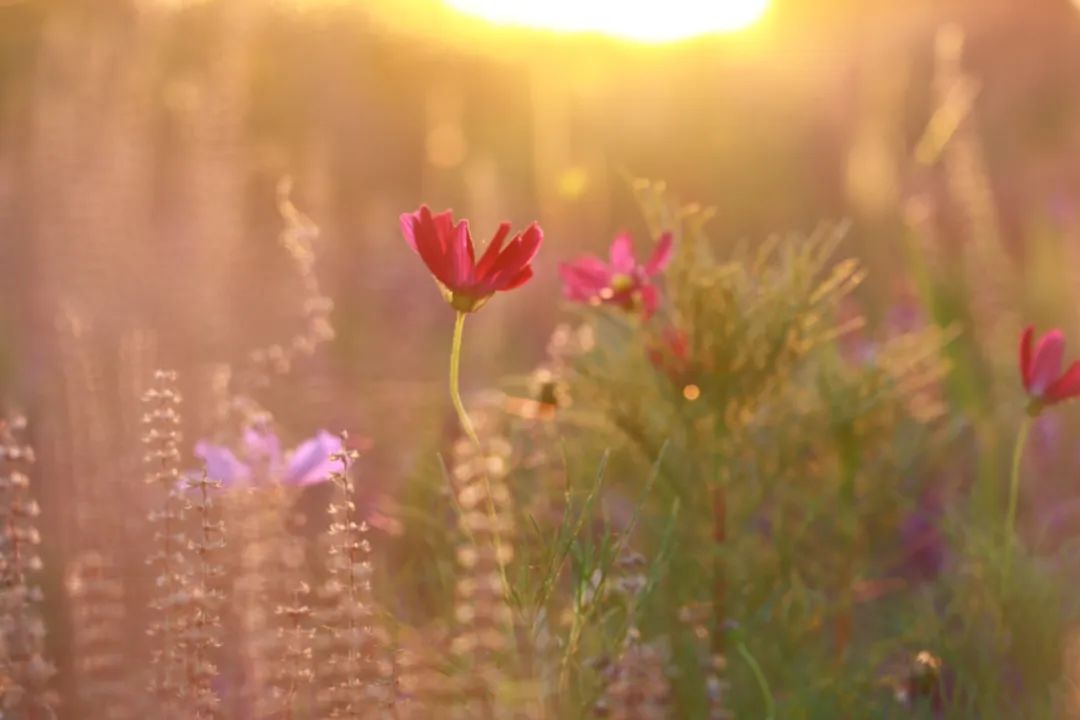 凡人微光温暖山城,凡人微光解放军战士