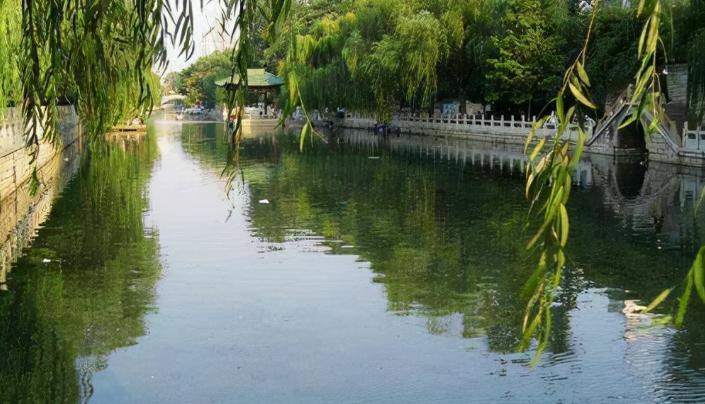 冬奥闭幕式折柳送别夜读,折柳送别冬奥闭幕式寓意