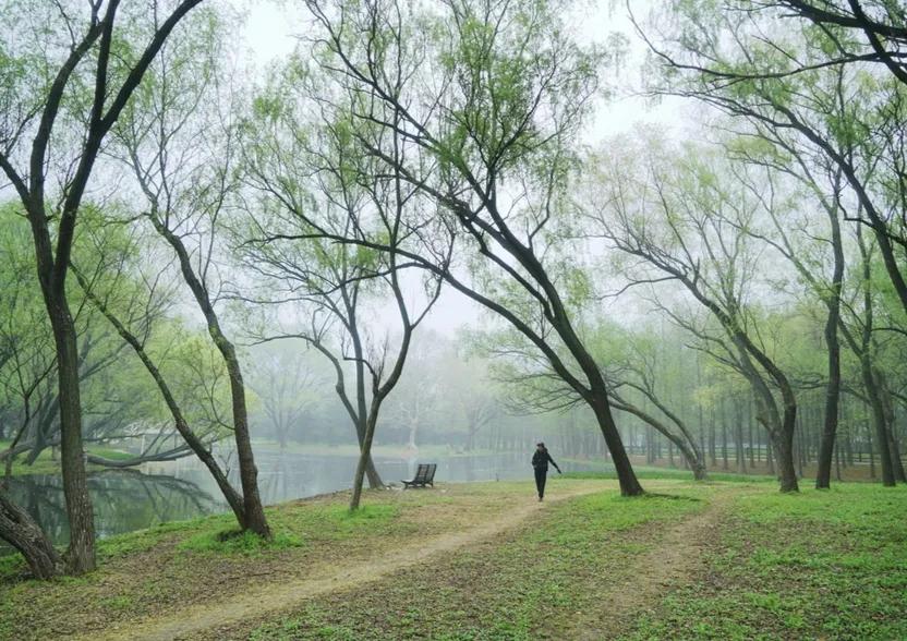 春天的脚步总是如约而至,春天的脚步岁月静好