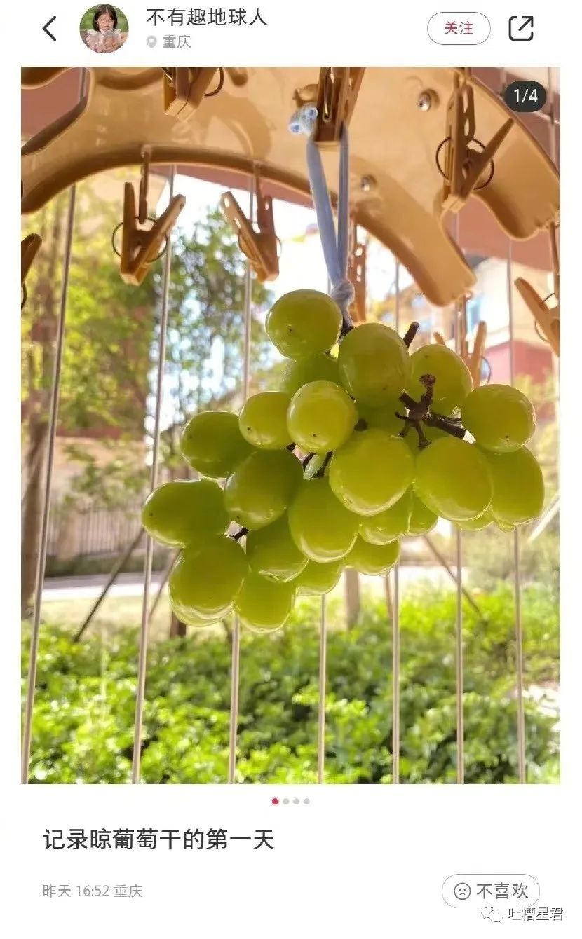 花了7400元买的gucci,花4000买gucci发夹