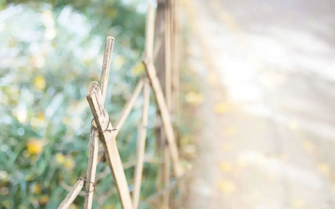 跟你说离职却不离职的人,朋友一直劝你离职自己却不离职