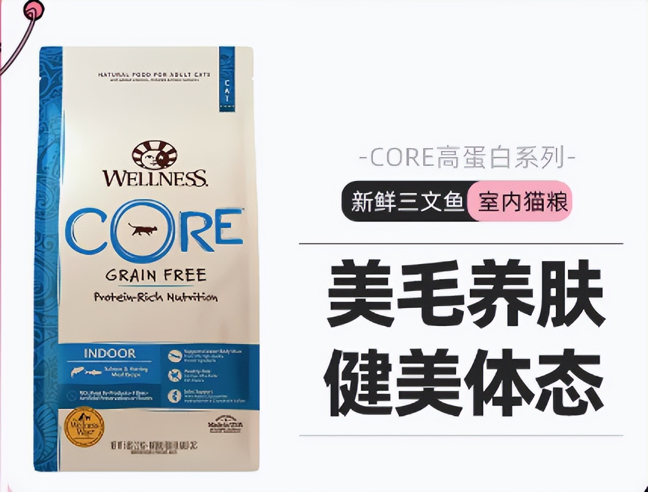 美国短毛猫吃多少猫粮合适,美国短毛猫吃什么猫粮比较好