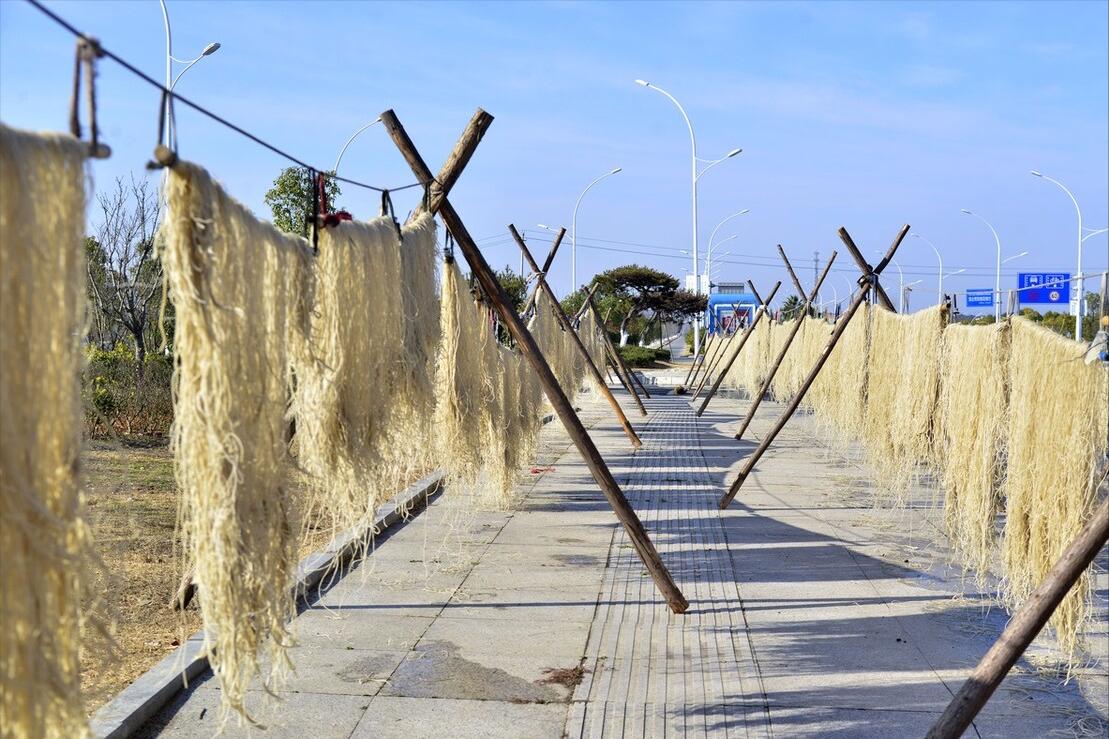 木薯为什么和红薯差价那么大,木薯跟红薯究竟有什么区别