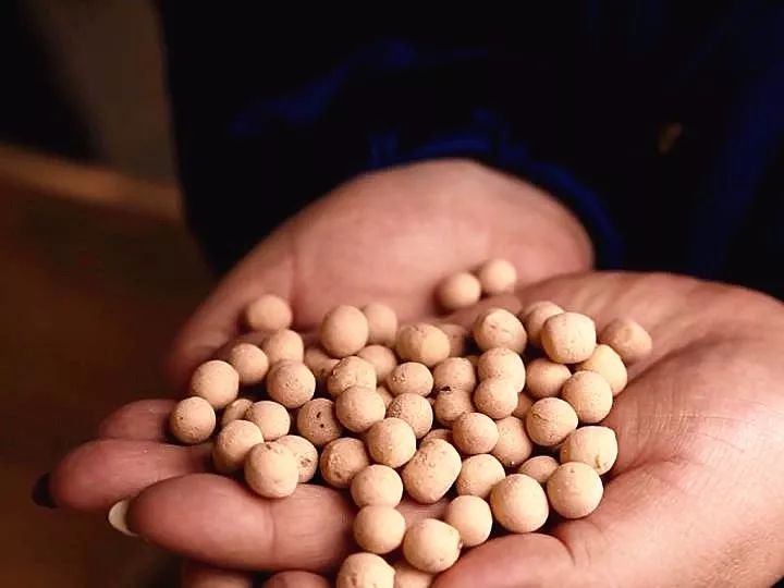 陕州面豆的正宗做法,陕州面豆